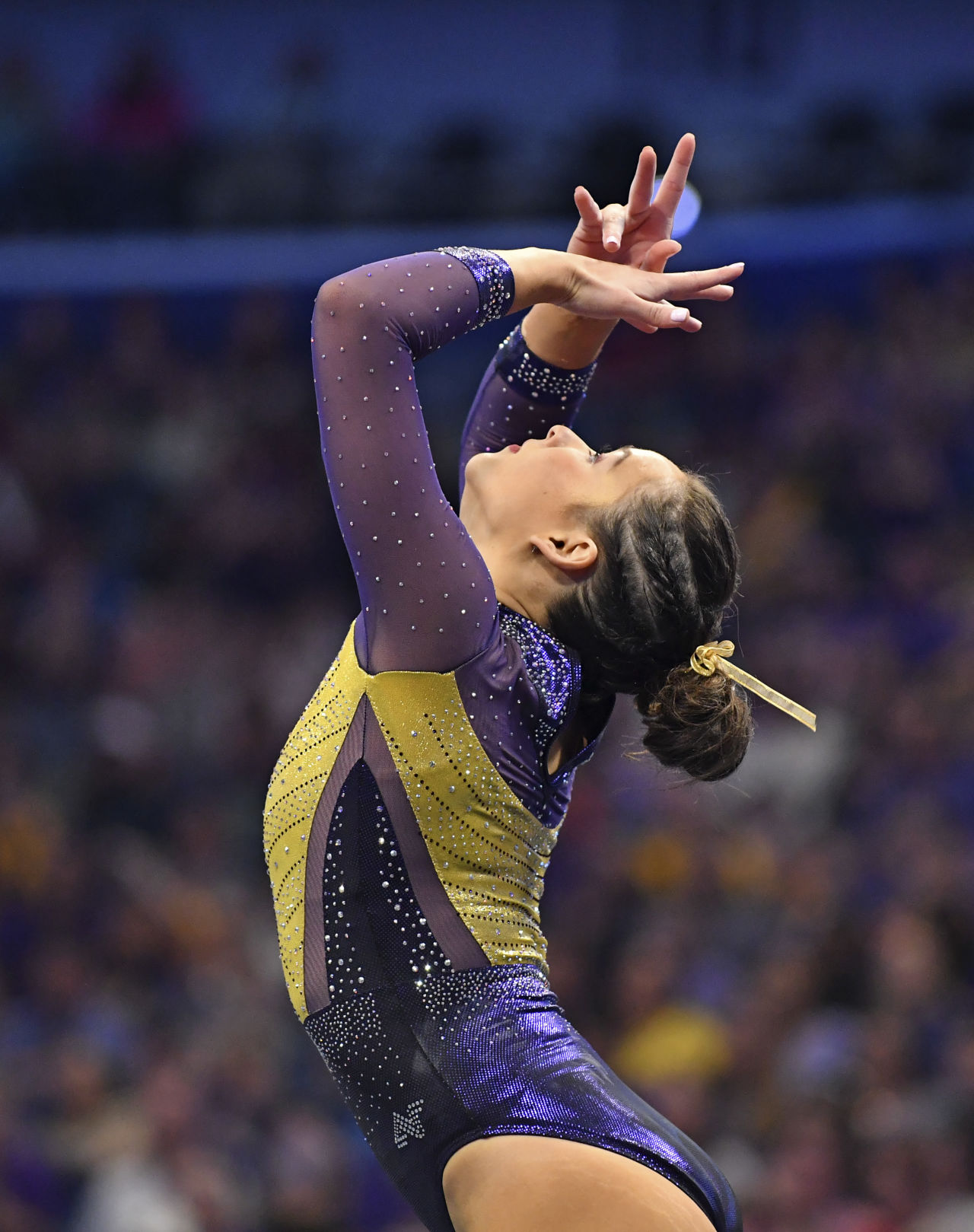lsugymnastics.032219 HS 2114.JPG